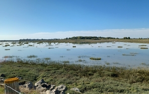 Favière