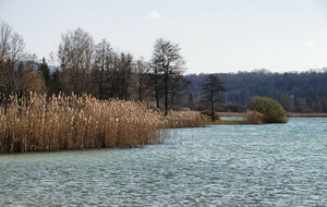 Clairvaux les lacs 2026