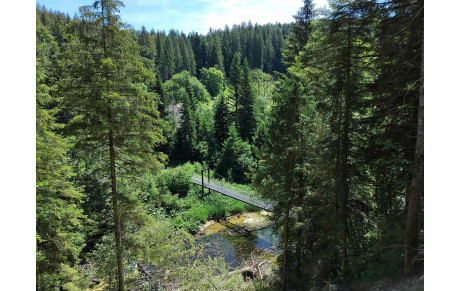 Après le séjour à Clairvaux les lacs